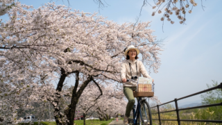 サイクリングの季節になりました。